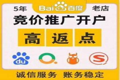 高效SEM托管公司案例对比分析